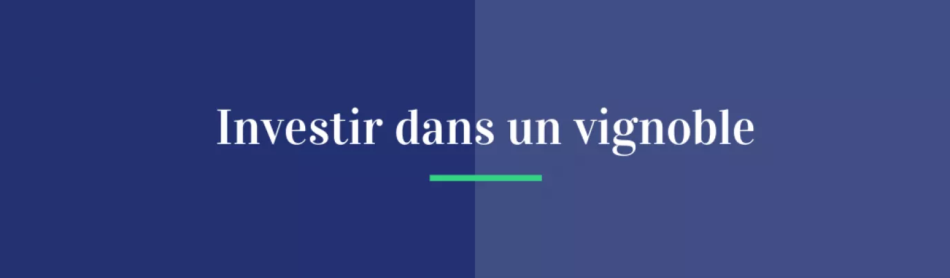 Investir dans un vignoble