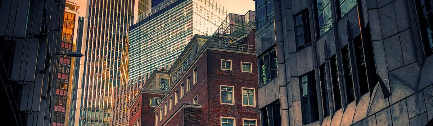 Investir dans les SCPI de plus-value, Homunity vous dit tout ce qu'il faut savoir