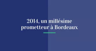 2014, un millésime prometteur à Bordeaux !