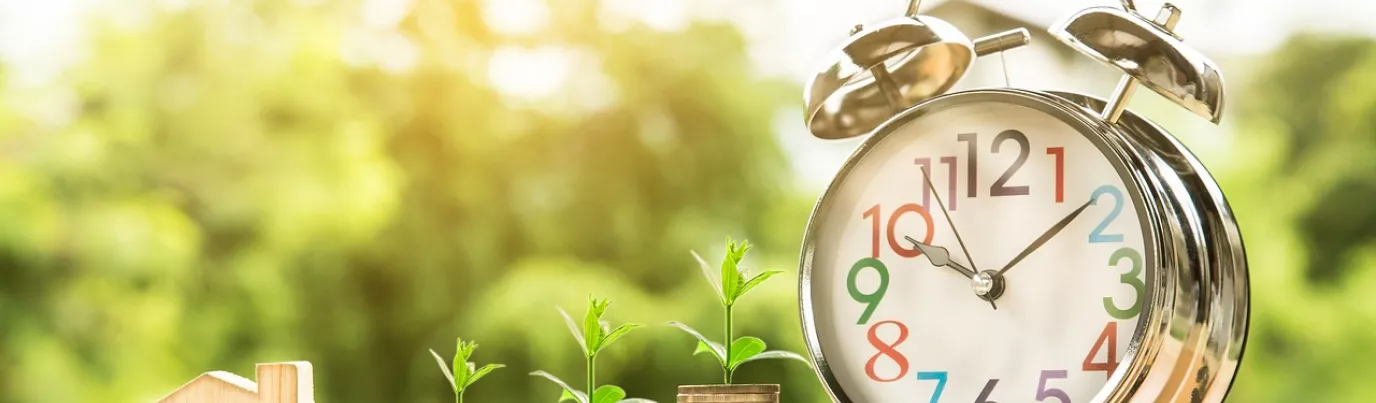Avantages du LMNP : les atouts du statut de loueur en meublé non professionnel