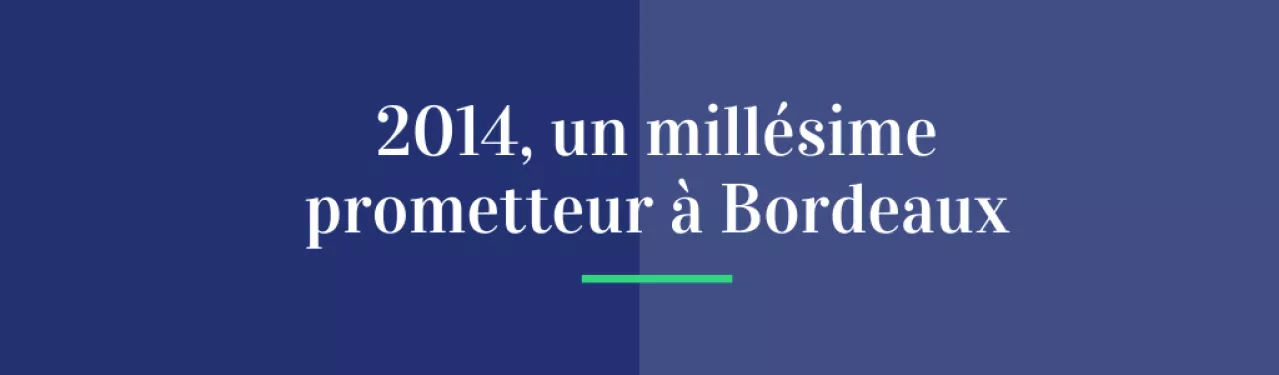 2014, un millésime prometteur à Bordeaux !