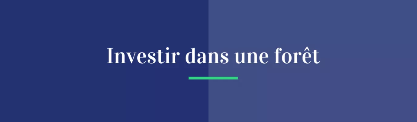 Investir dans une forêt